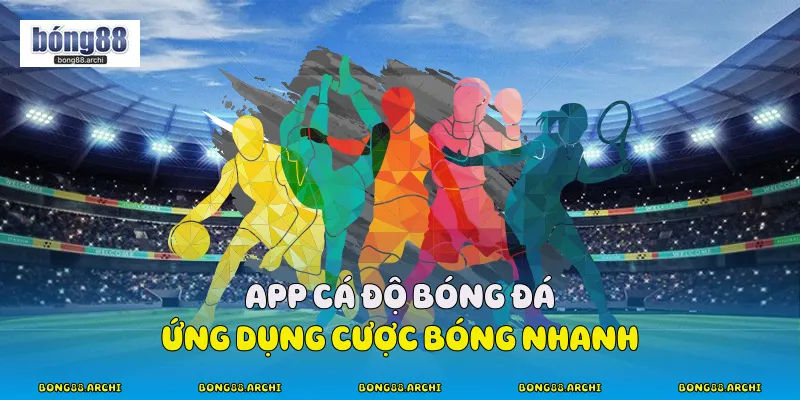 App Cá Độ Bóng Đá