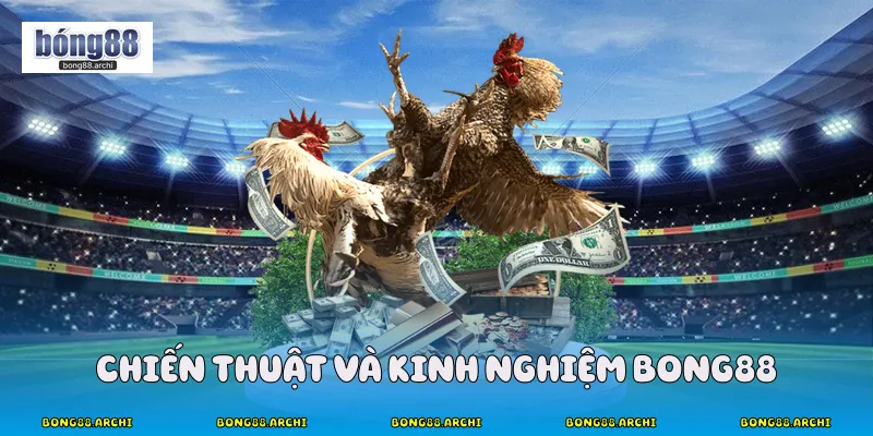 Chiến Thuật Và Kinh Nghiệm Bong88