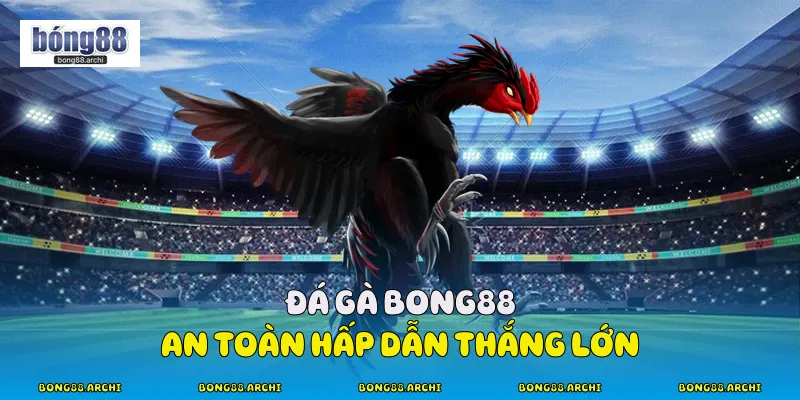 Đá Gà Bong88 - An Toàn, Hấp Dẫn, Thắng Lớn